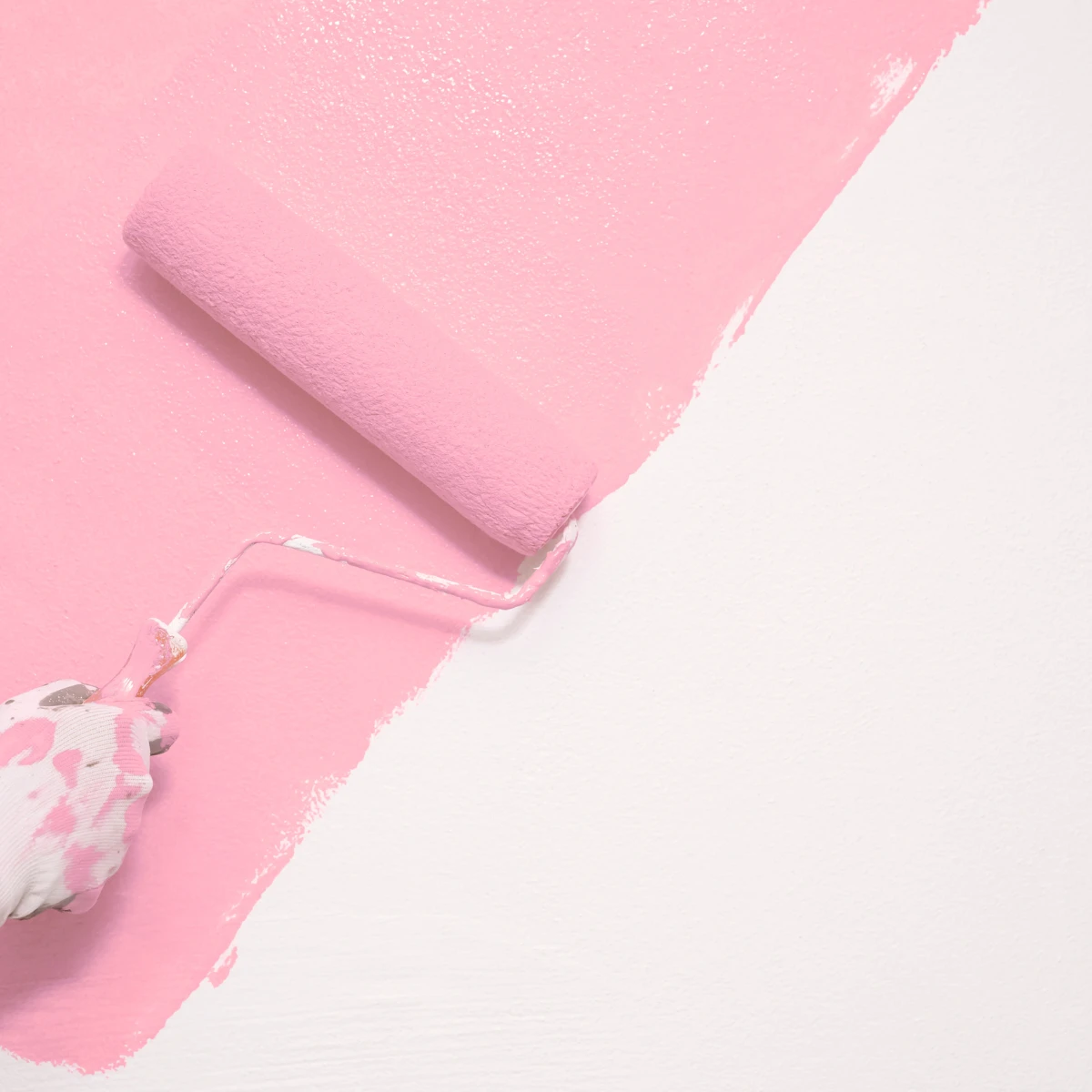 Farbrolle eine weiße Wand in einem frischen Rosa-Anstrich